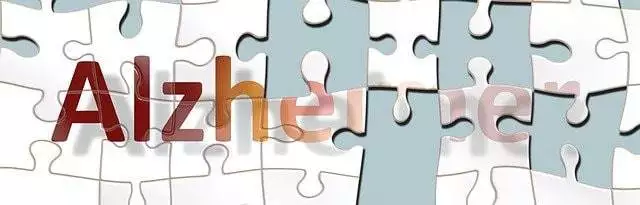 Alzheimer Demenz in der HP Psychotherapie Ausbildung